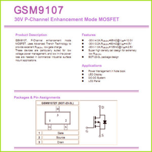 GSM9107